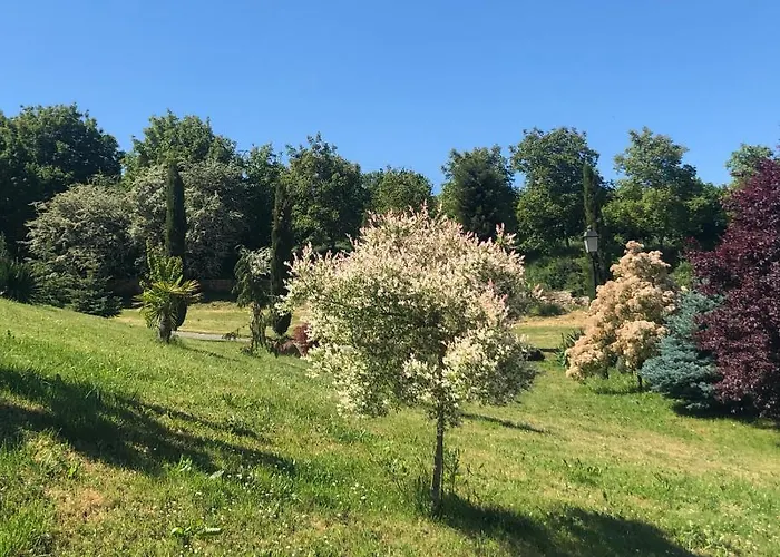 San Anton Abad Villafranca Montes De Oca